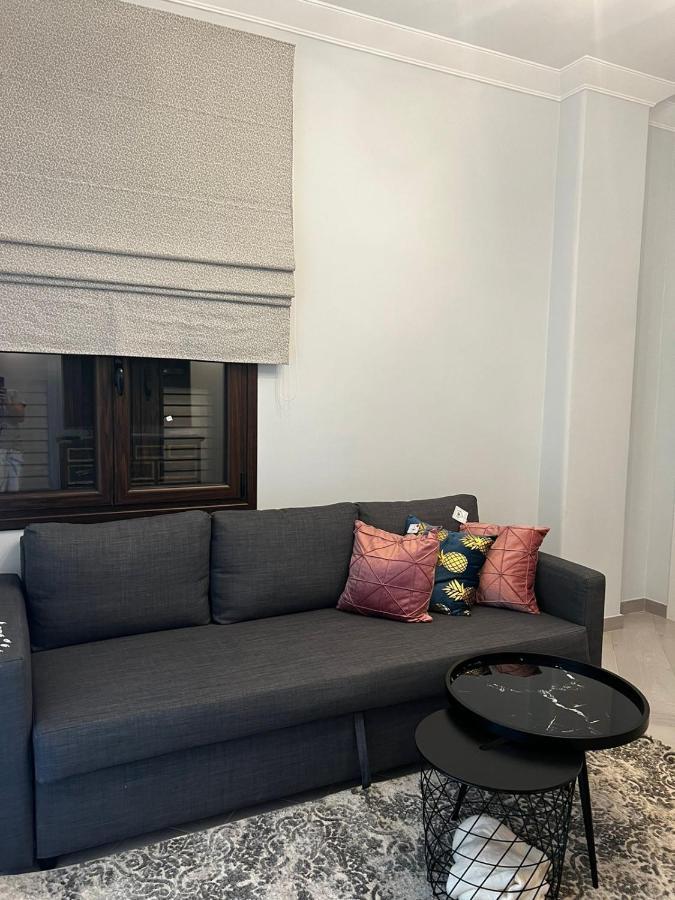 Olivia Luxury Apartment Palio Faliro Athènes Extérieur photo
